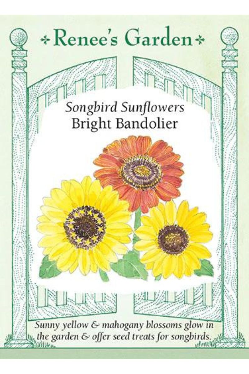 Renee's Garden Songbirds Sunflowers Bright Bandolier Seeds