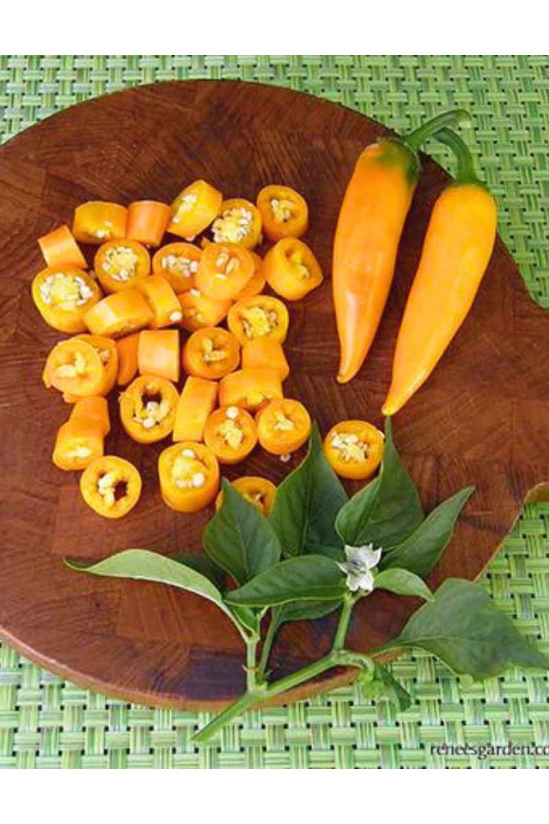 Renee's Garden Heirloom Chile Peppers Bulgarian Carrot Seeds