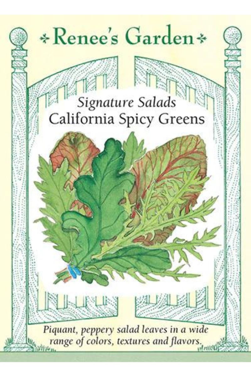 Renee's Garden Signatutre Salads California Spicy Greens Seeds