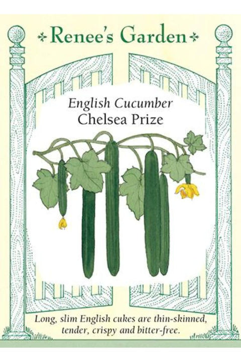 Renee's Garden English Cucumber Chelsea Prize Seeds