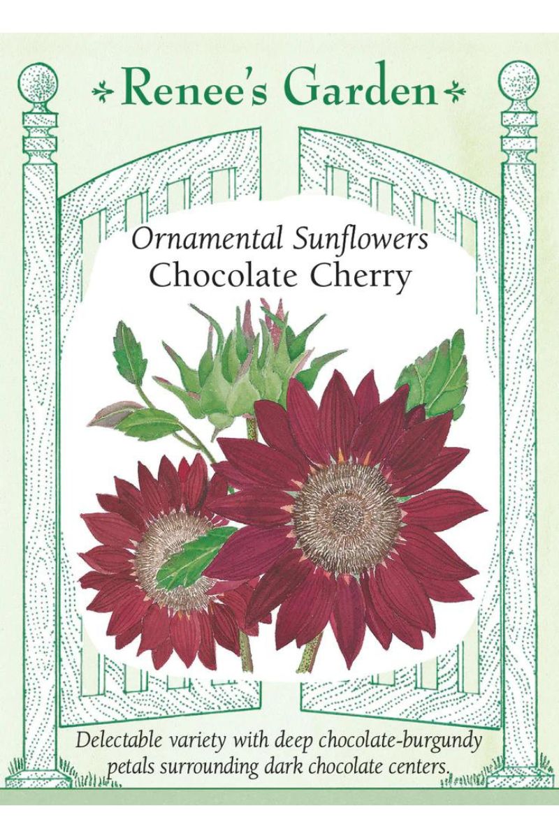 Renee's Garden Ornamental Sunflowers Chocolate Cherry Seeds