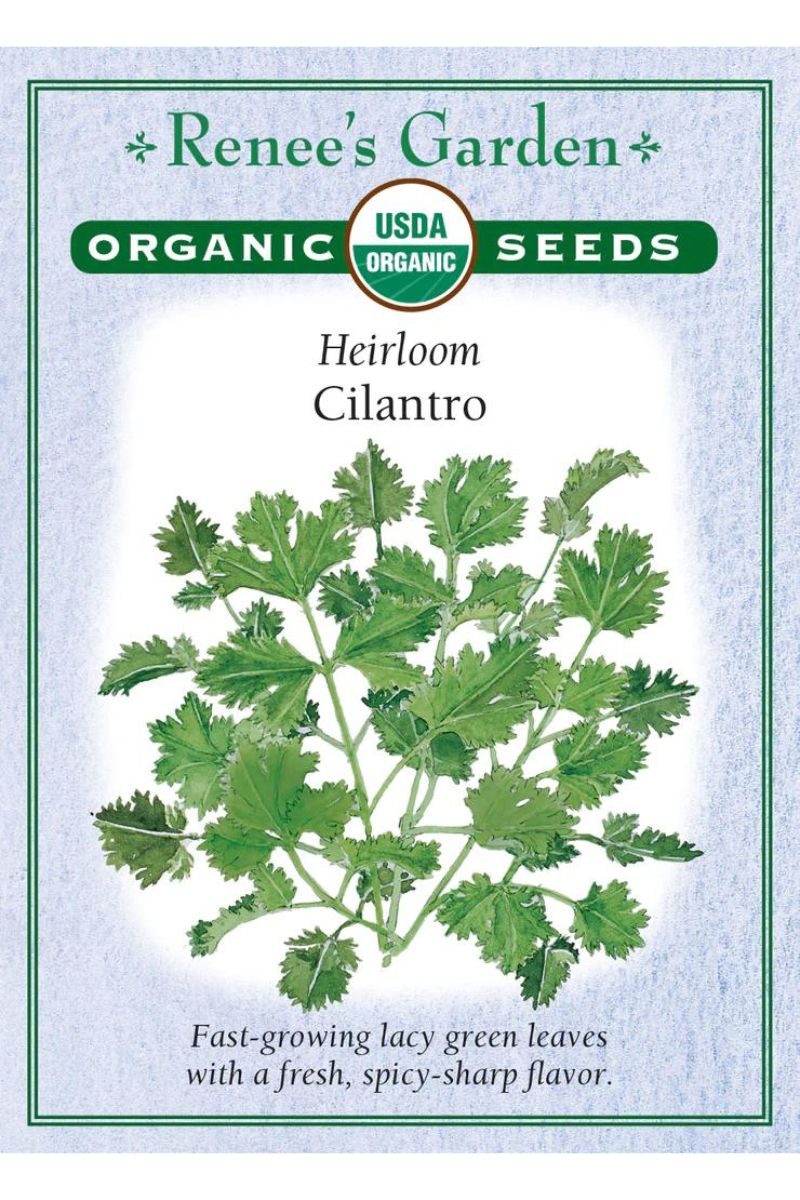 Renee's Garden Heirloom Cilantro Organic Seeds