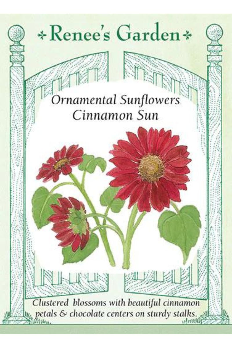 Renee's Garden Ornamental Sunflowers Cinnamon Sun Seeds