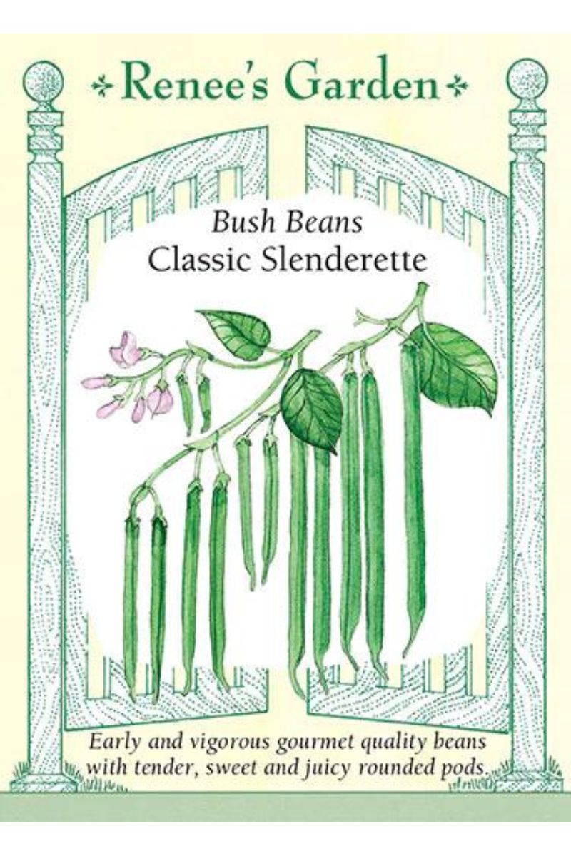 Renee's Garden Bush Beans Classic Slenderette Seeds