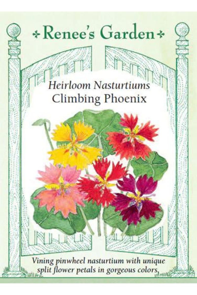 Renee's Garden Heirloom Nasturtiums Climbing Phoenix Seeds