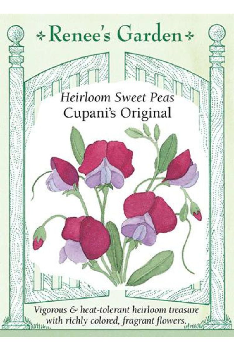 Renee's Garden Heirloom Sweet Peas Cupani's Original Seeds
