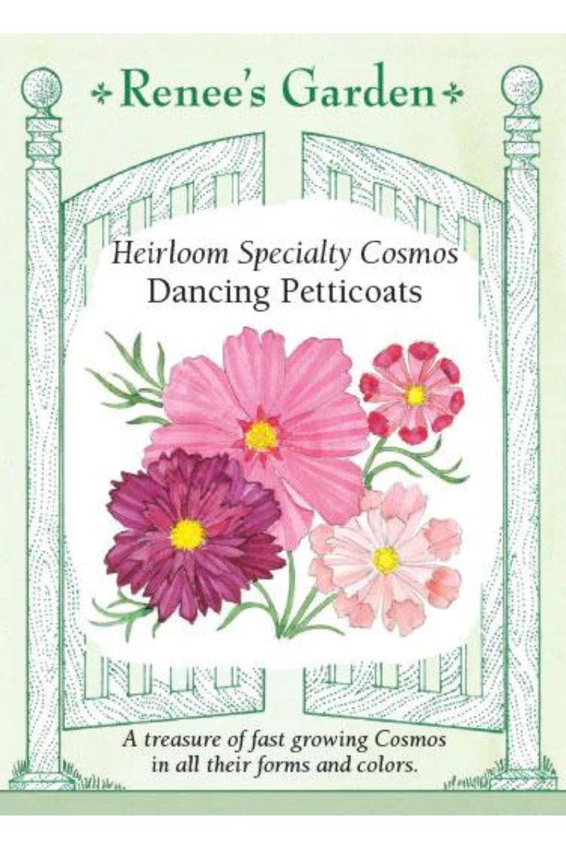 Renee's Garden Heirloom Specialtyt Cosmos Dancing Petticoats Seeds