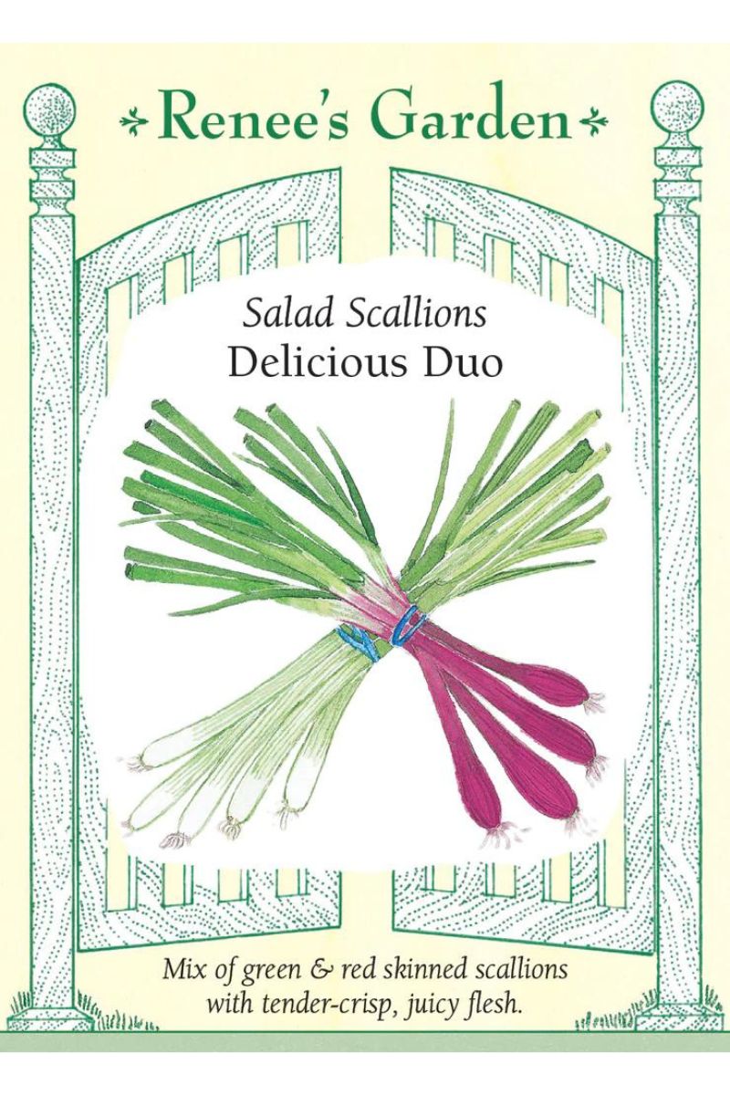 Renee's Garden Salad Scallions Delicious Duo Seeds