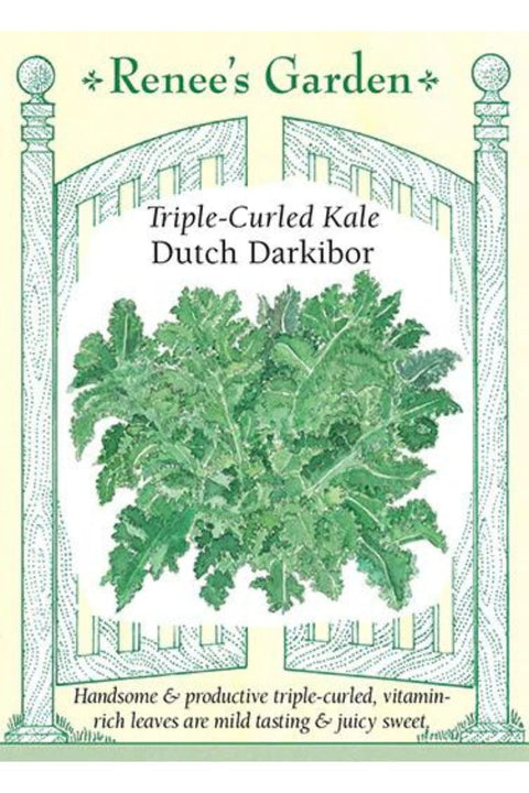 Renee's Garden Triple-Curled Kale Dutch Darkibor Seeds