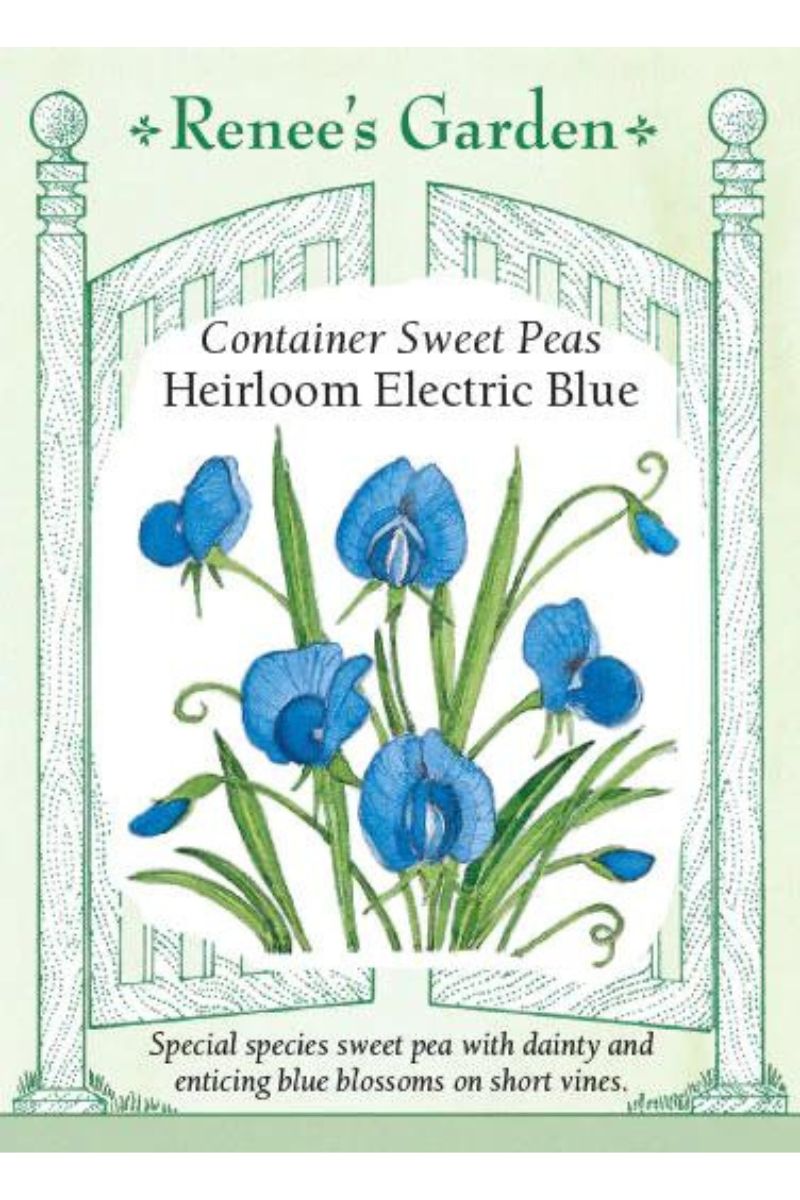 Renee's Garden Container Sweet Peas Heirloom Electric Blue Seeds