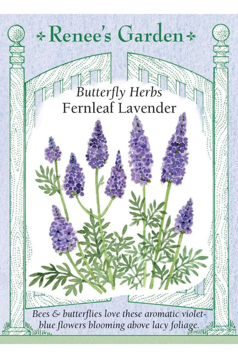Renee's Garden Butterfly Herbs Fernleaf Lavender Seeds