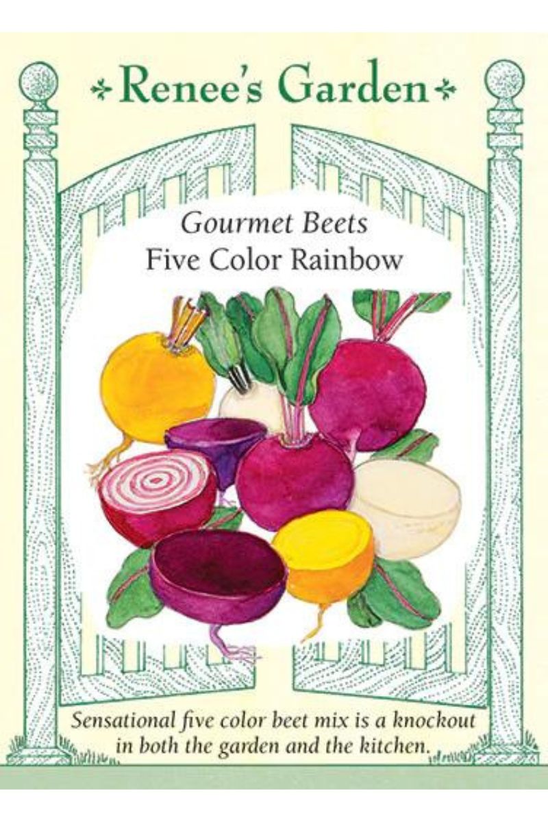 Renee's Garden Gourmat Beets Five Color Rainbow Seeds