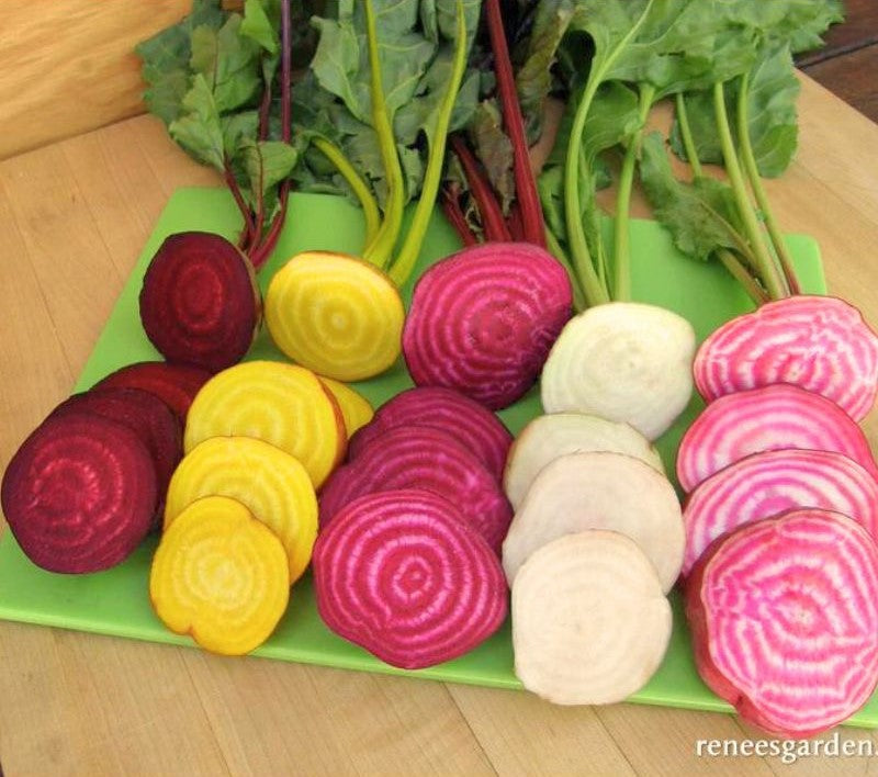 Renee's Garden Gourmat Beets Five Color Rainbow Seeds