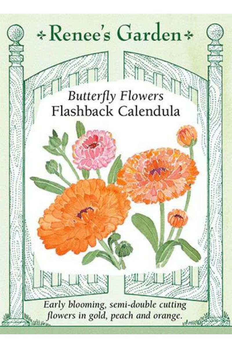 Renee's Garden Butterfly Flowers Flashback Calendula Seeds