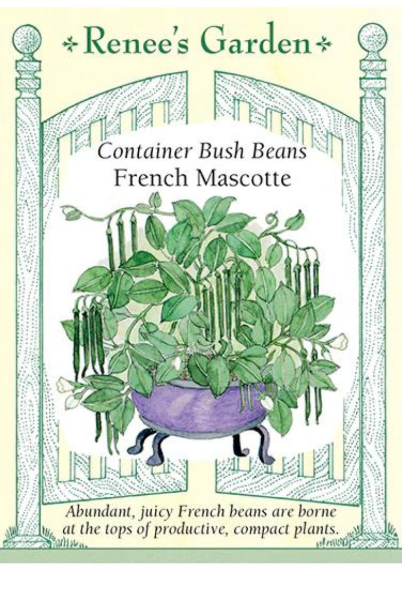 Renee's Garden Conbtainer Bush Beans French Mascotte Seeds