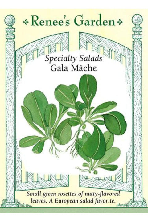 Renee's Garden Specialty Salads Gala Mache Seeds