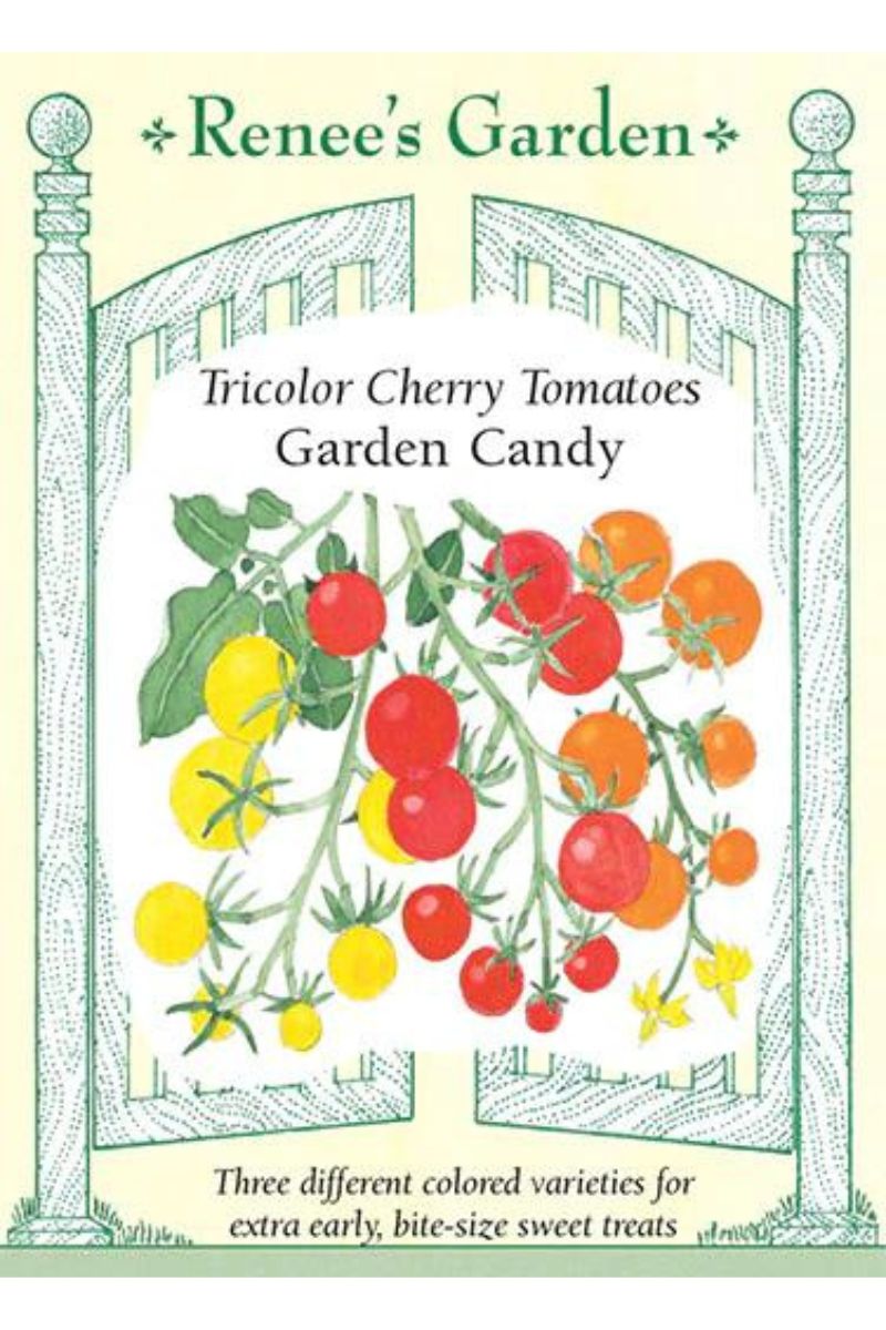 Renee's Garden Tricolor Cherry Tomatoes Garden Candy Seeds