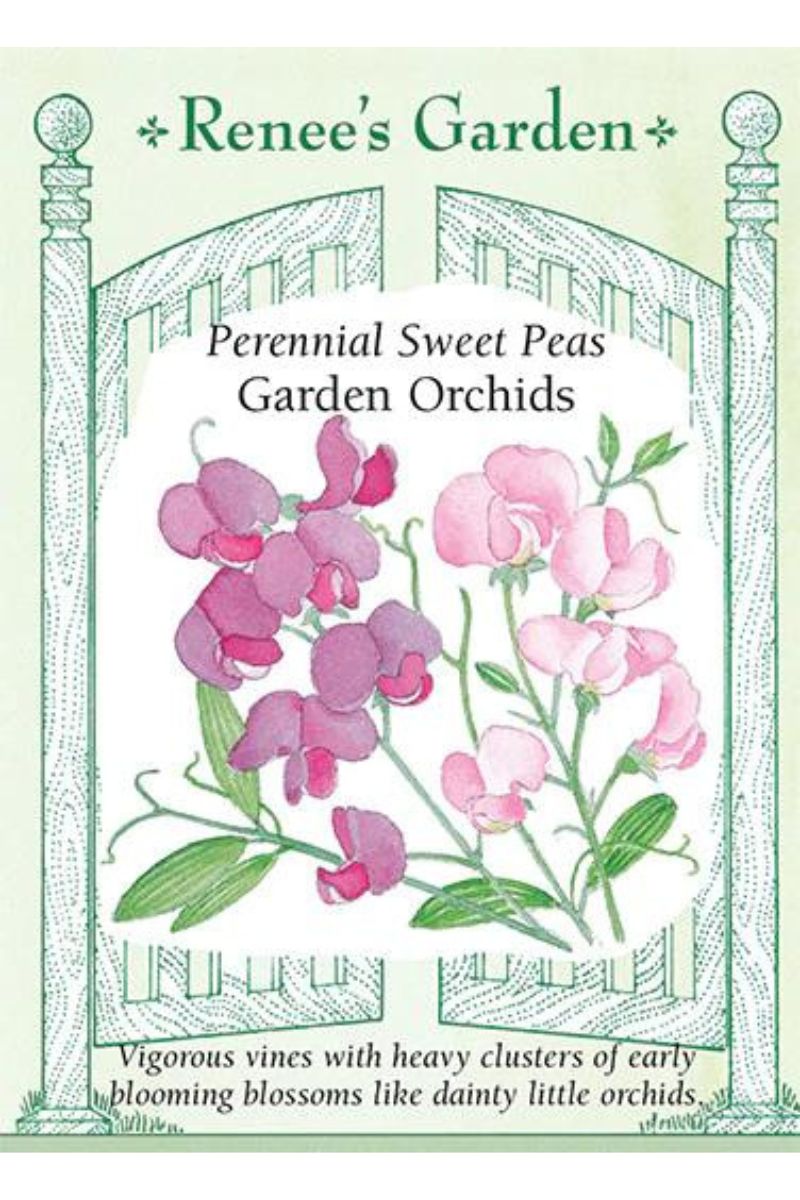 Renee's Garden Perennial Sweet Peas Garden Orchids Seeds