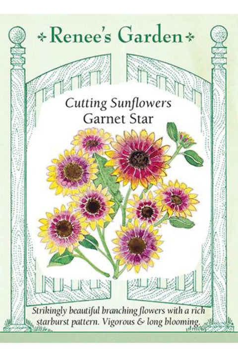 Renee's Garden Cutting Sunflowers Garnet Star Seeds