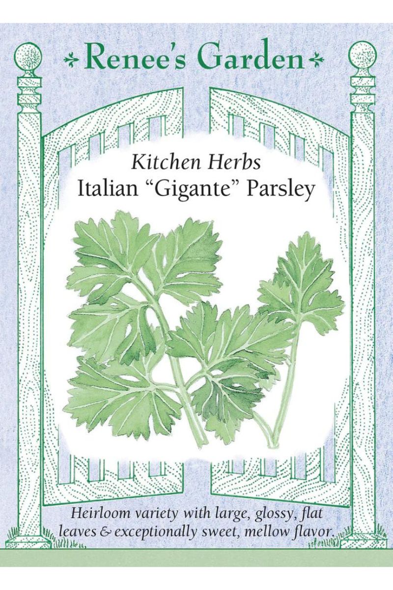 Renee's Garden Kitchen Herbs Italian "Gigante" Parsley Seeds