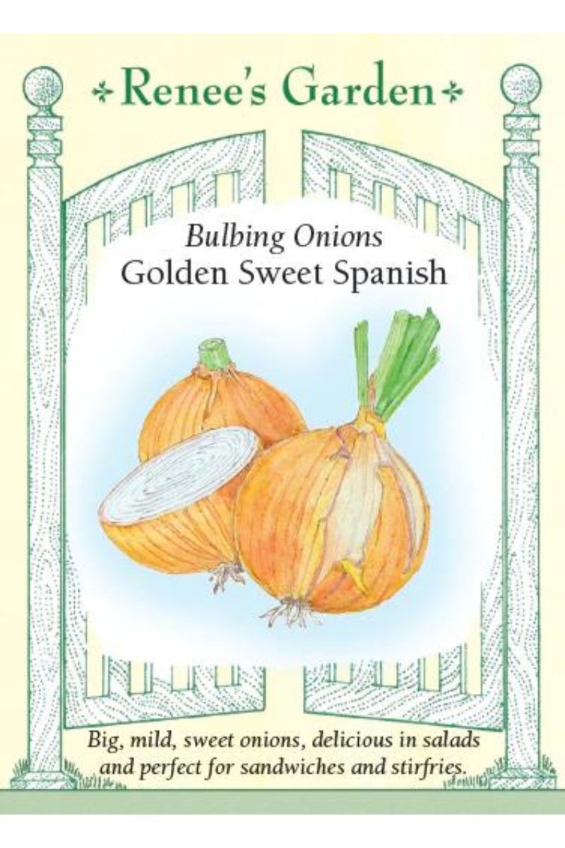 Renee's Garden Bulbing Onion Golden Sweet Spanish Seeds
