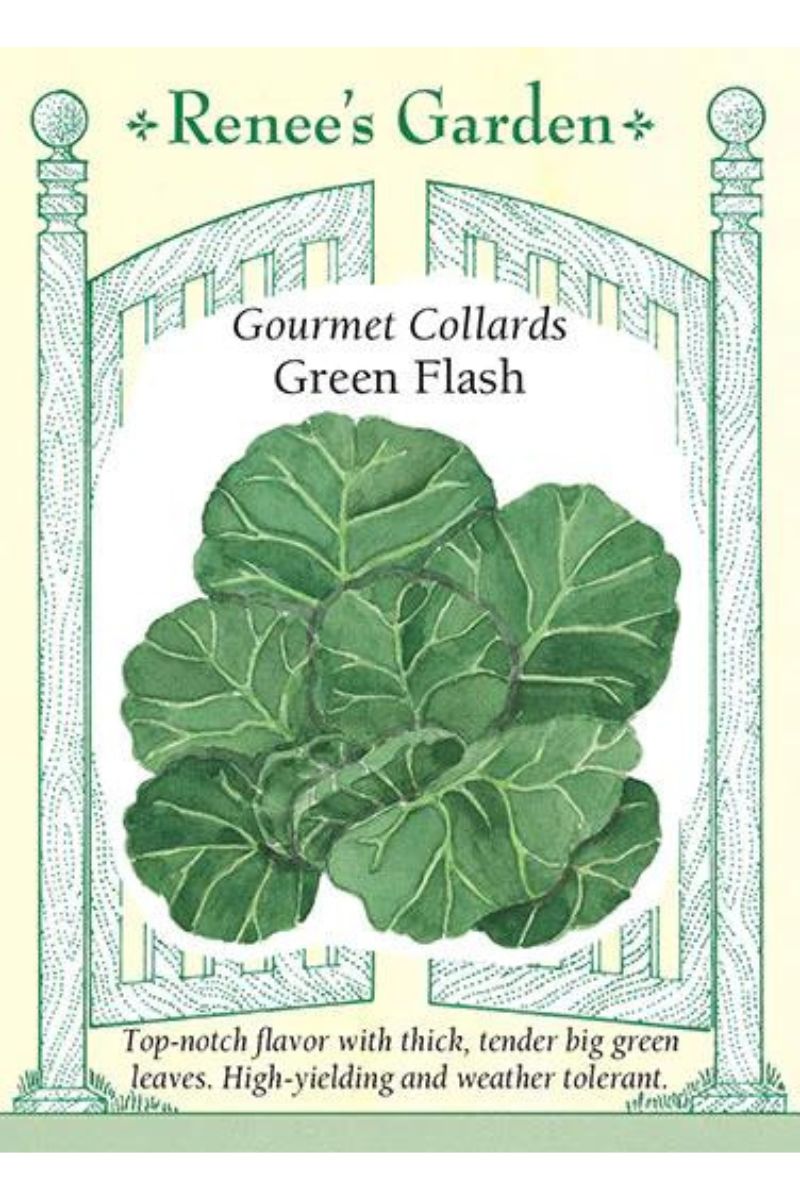 Renee's Garden Gourmet Collards Green Flash Seeds