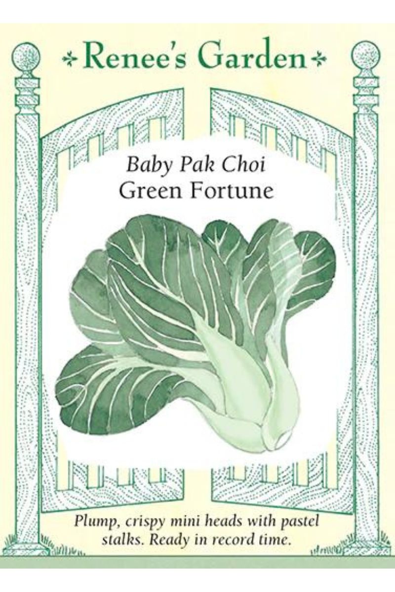 Renee's Garden Baby Pak Choi Green Fortune Seeds