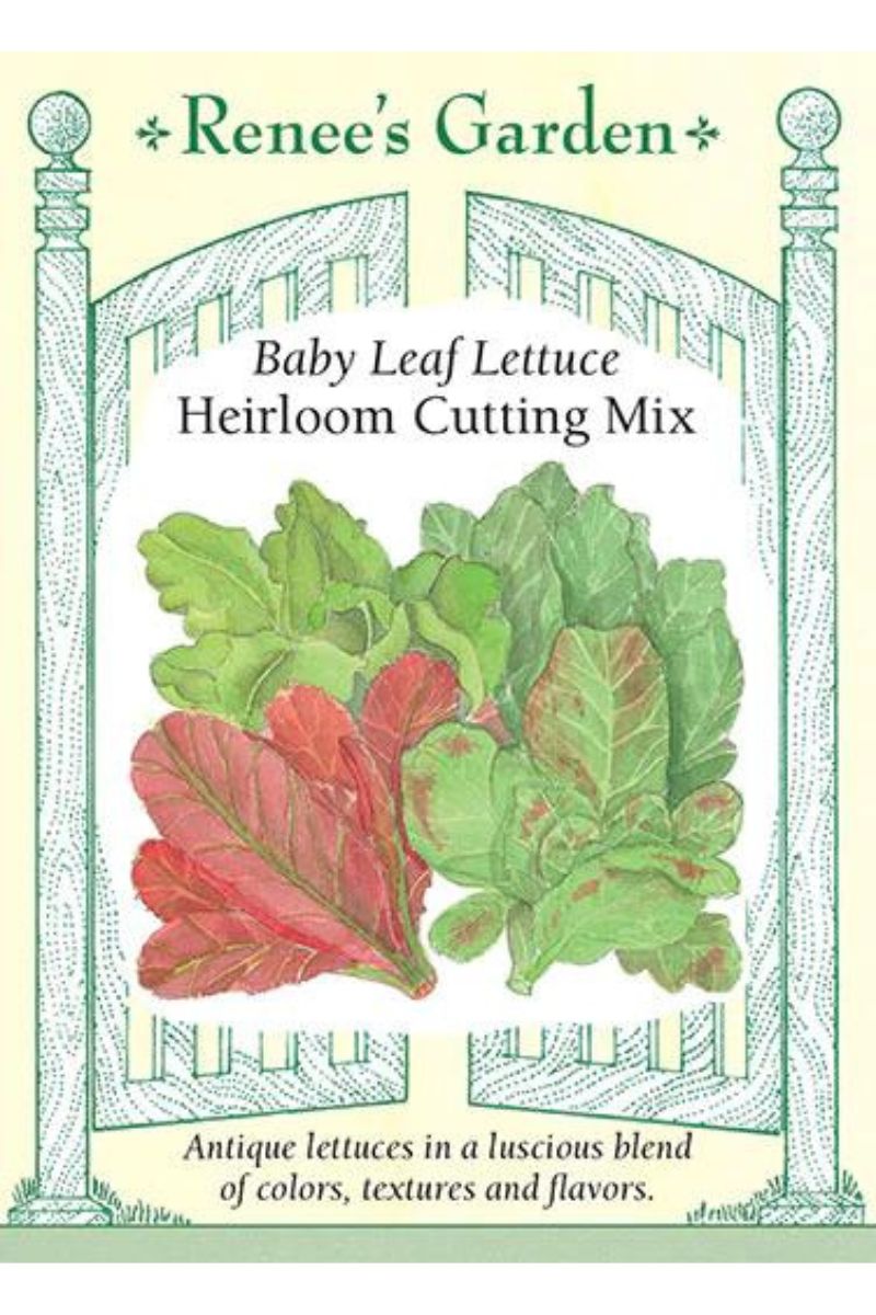 Renee's Garden Baby Leaf Lettuce Heirloom Cutting Mix Seeds