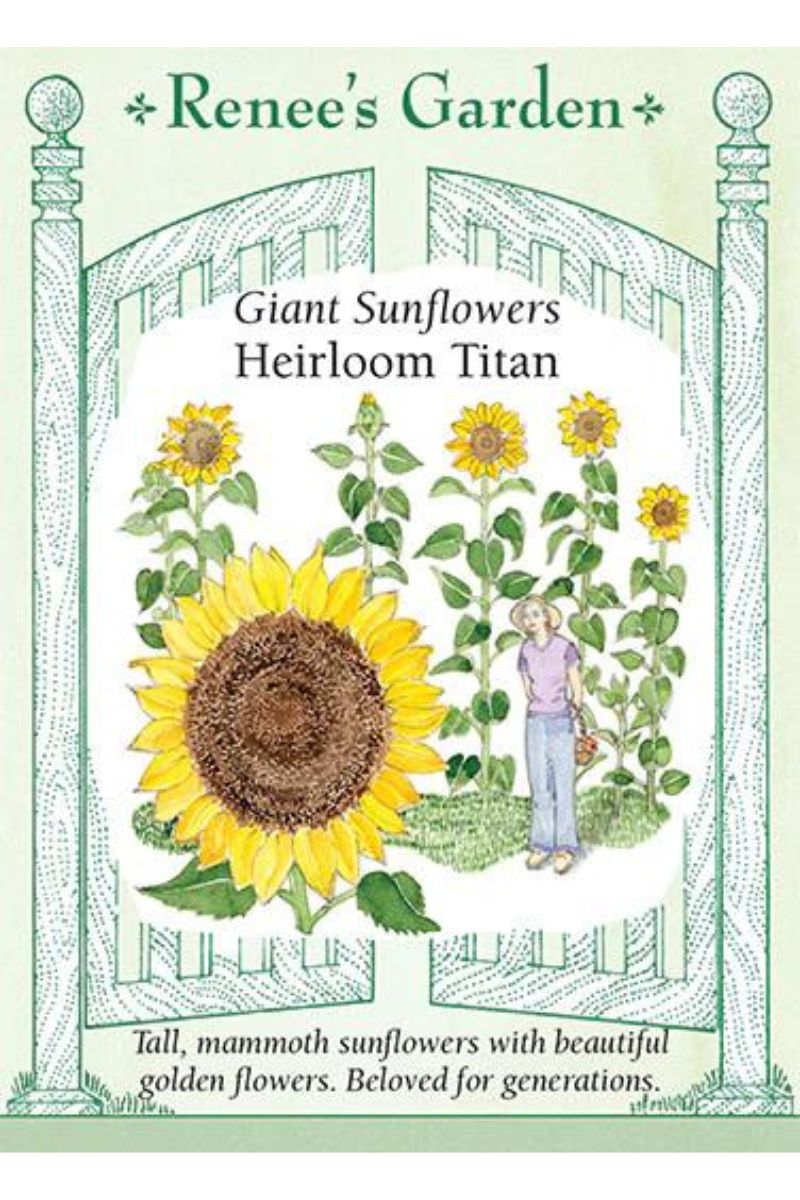 Renee's Garden Giant Sunflowers Heirloom Titan Seeds