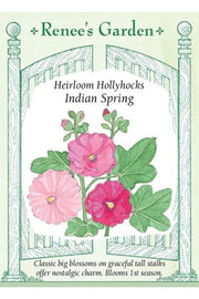 Renee's Garden Heirloom Hollyhocks Indian Spring Seeds