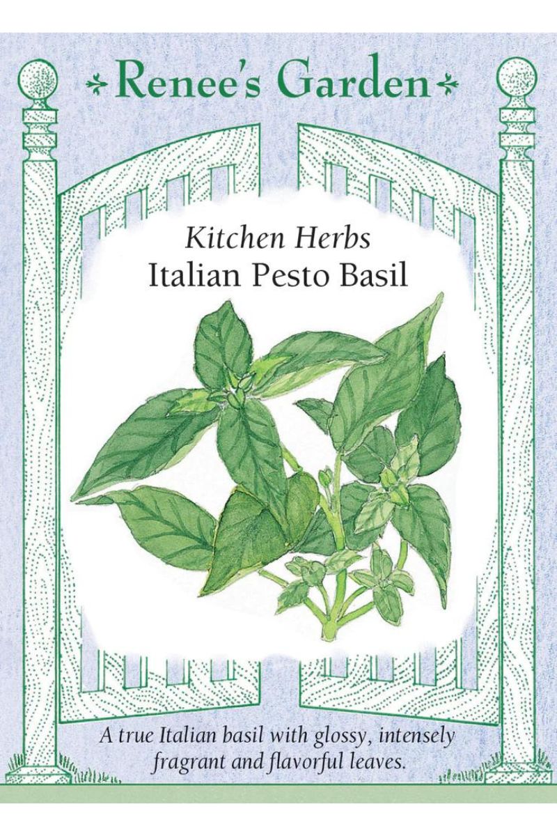 Renee's Garden Kitchen Herbs Italian Pesto Basil Seeds