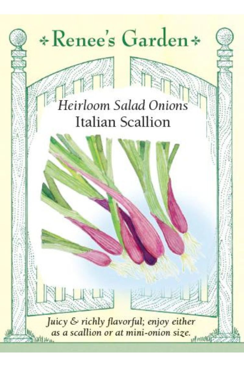 Renee's Garden Heirloom Salad Onions italian Scallion Seeds