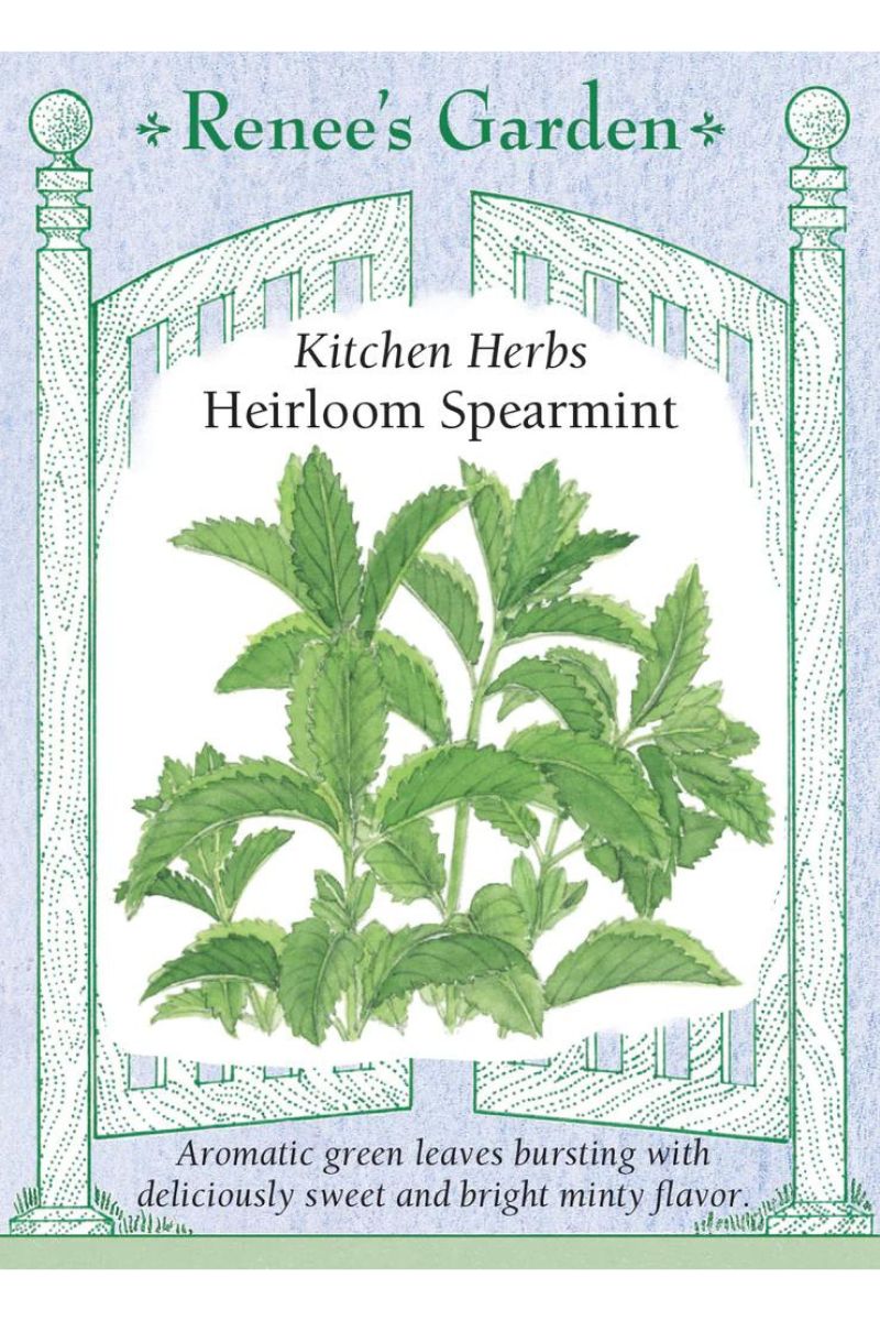 Renee's Garden Kitchen Herbs Heirloom Spearmint Seeds