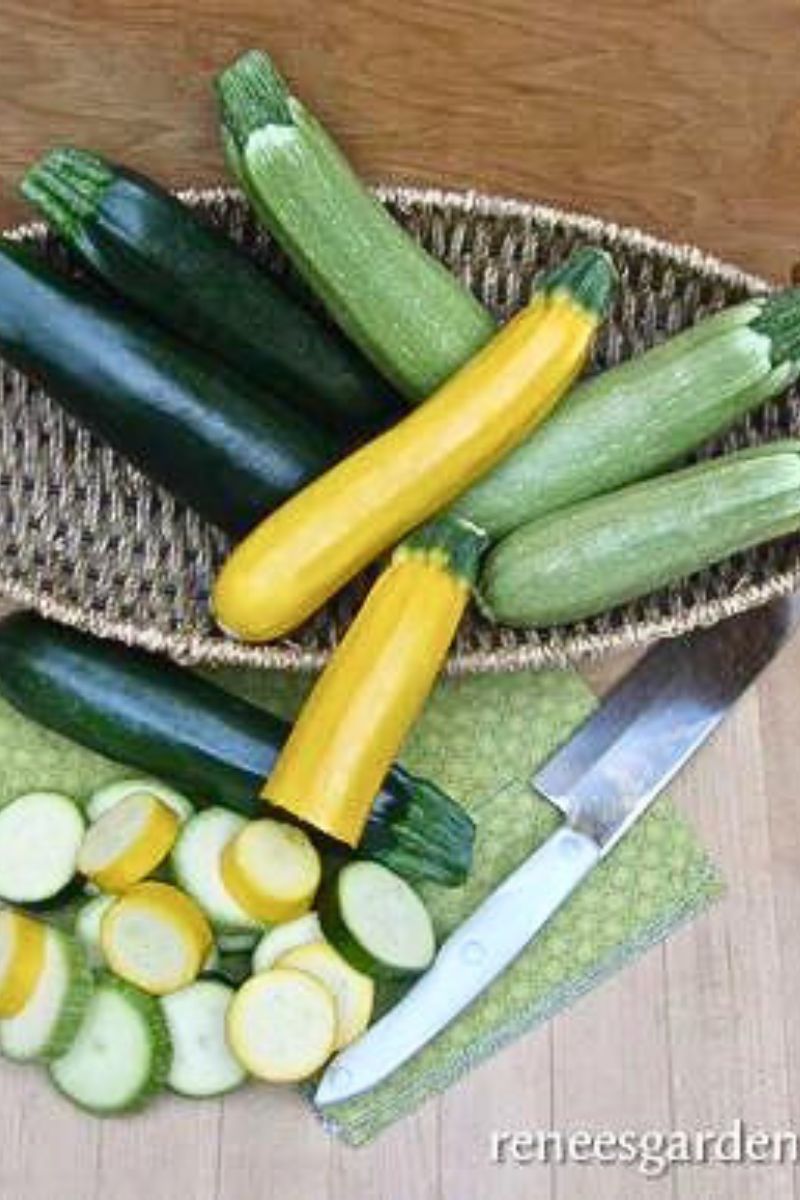 Renee's Garden Tricolor Zucchini Jade, Gold & Emerald Seeds