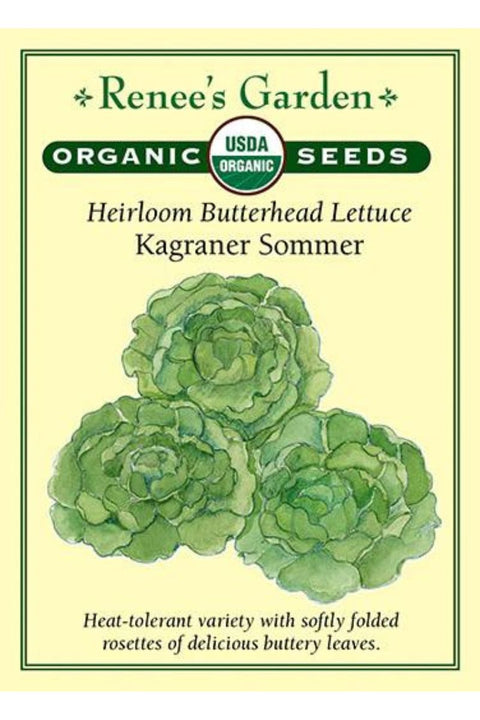 Renee's Garden Heirloom Butterhead Lettuce Kagraner Sommer Organic Seeds