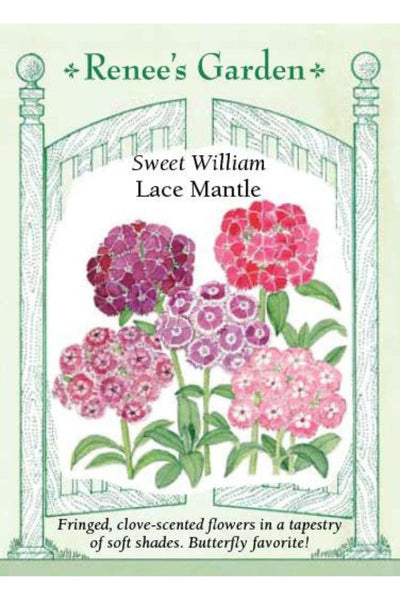 renee's garden flower seeds Renee's Garden Sweet William Lace Mantle Seeds – Chalet