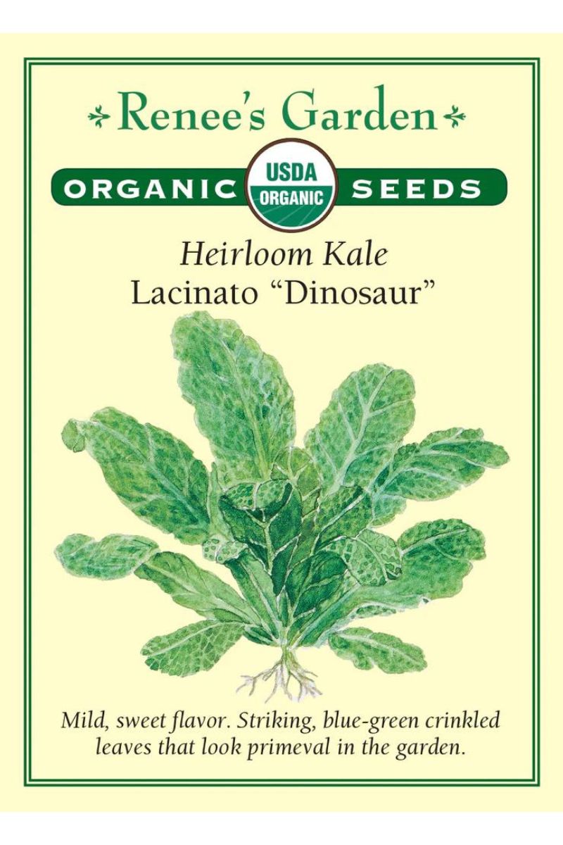 Renee's Garden Heirloom Kale Lacinato "Dinosaur" Organic Seeds