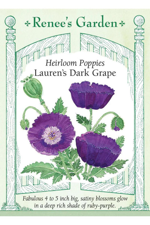 Renee's Garden Heirloom Poppies Lauren's Dark Grape Seeds