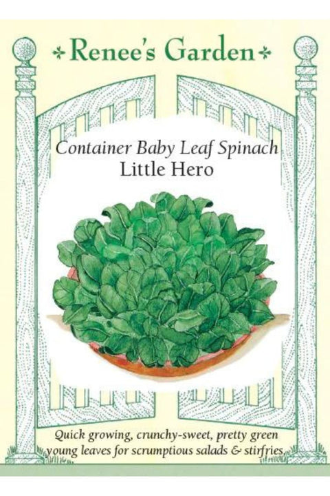 Renee's Garden Container Baby Leaf Spinach Little Hero Seeds