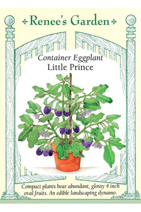 Renee's Garden Container Eggplant Little Prince Seeds
