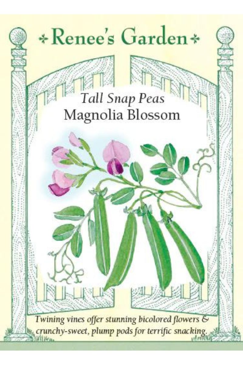 Renee's Garden Tall Snao Peas Magnolia Blossom Seeds