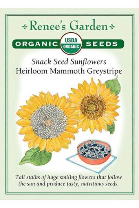 Renee's Garden Snack Seed Sunflowers Heirloom Mammoth Greystripe Organic Seeds