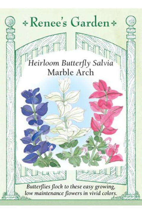 Renee's Garden Heirloom Butterfly Salvia Marble Arch Seeds