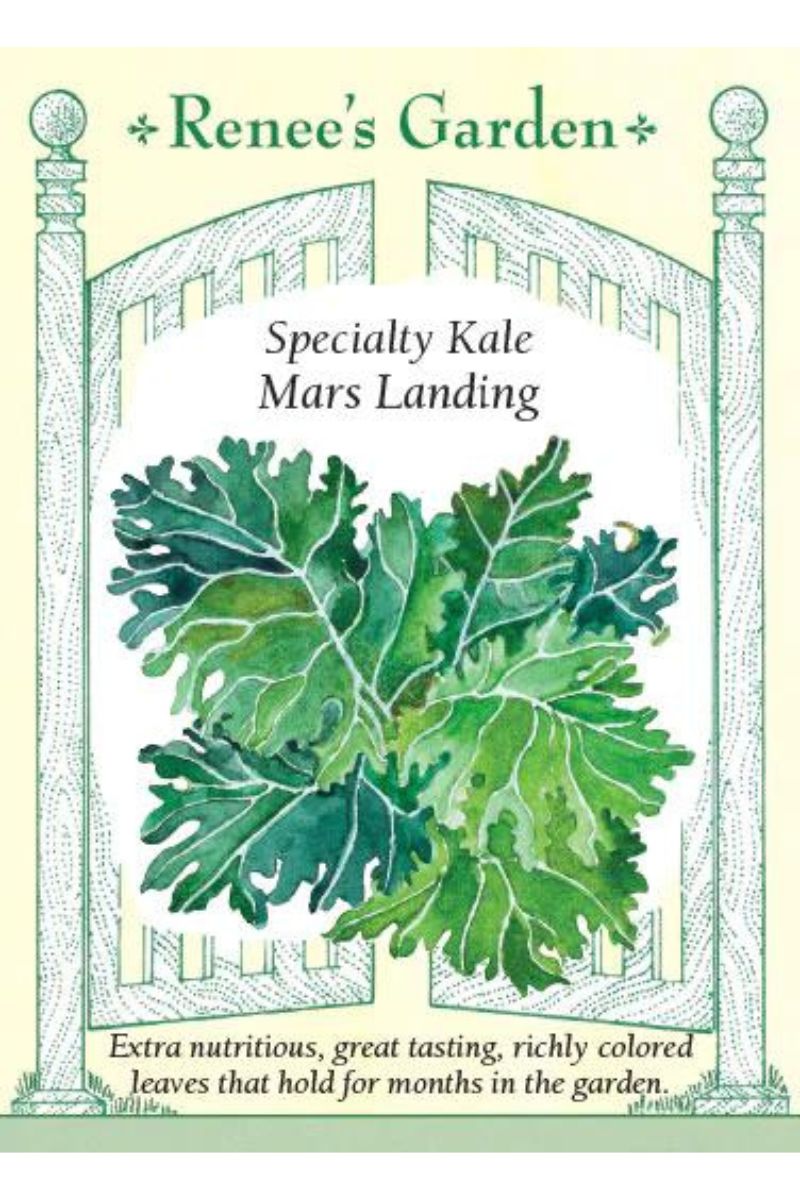 Renee's Garden Soecialty Kale Mars Landing Seeds