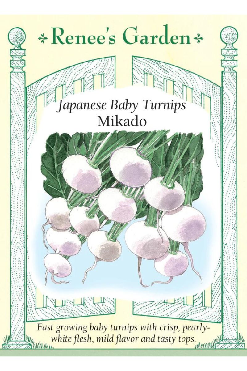 Renee's Garden Japanese Baby Turnips Mikado Seeds