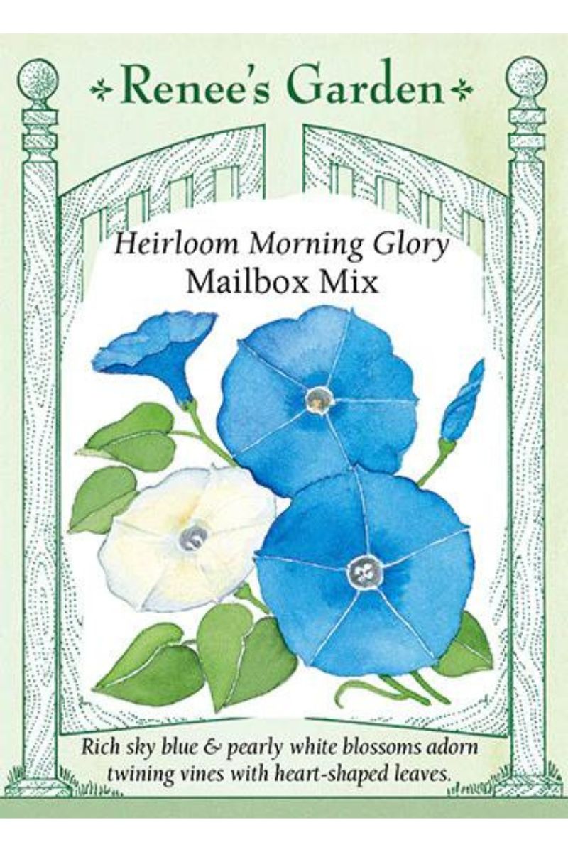 Renee's Garden Heirloom Morning Glory Mailbox Mix Seeds