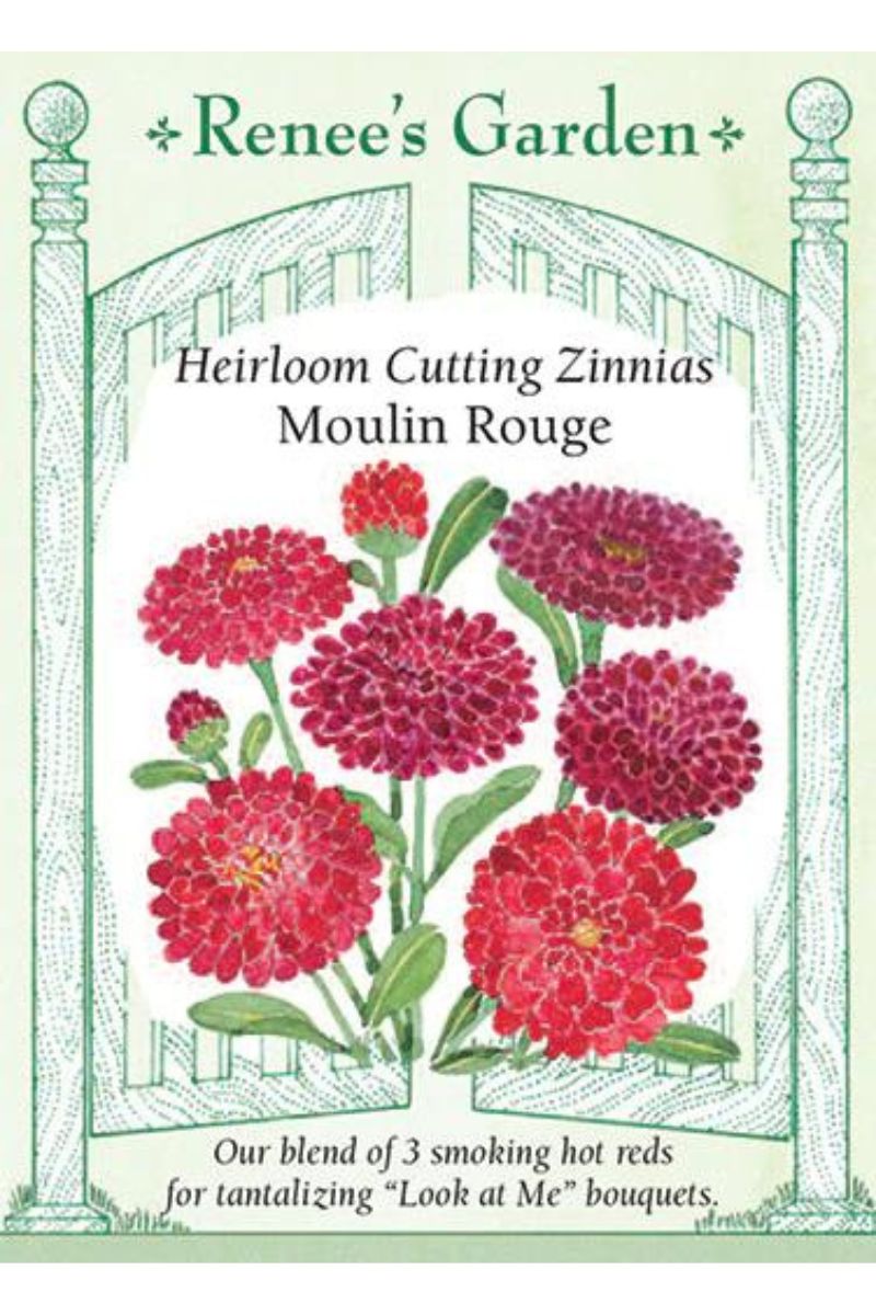 Renee's Garden Heirloom Cutting Zinnias Moulin Rouge Seeds