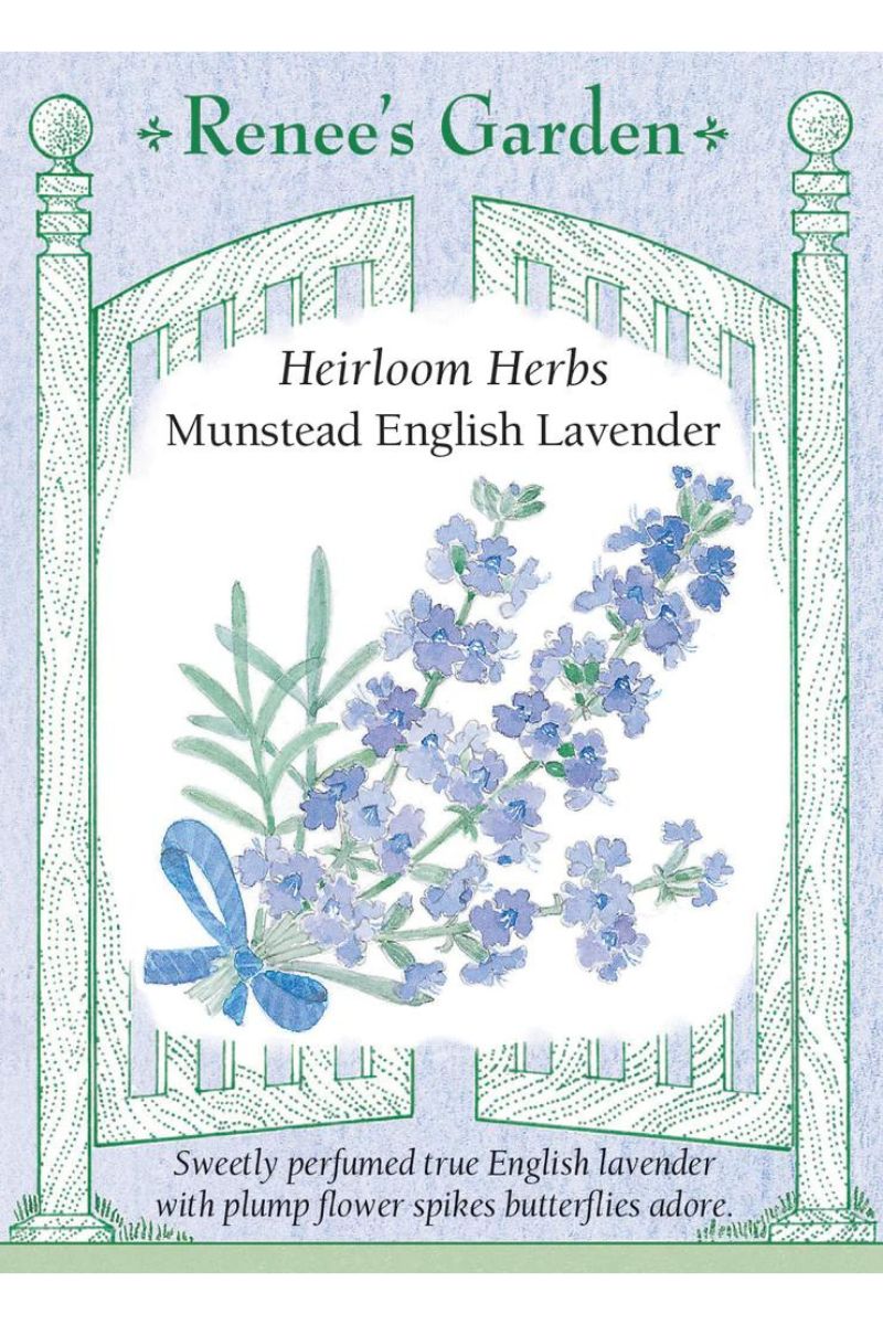 Renee's Garden Heirloom Herbs Munstead English Lavender Seeds