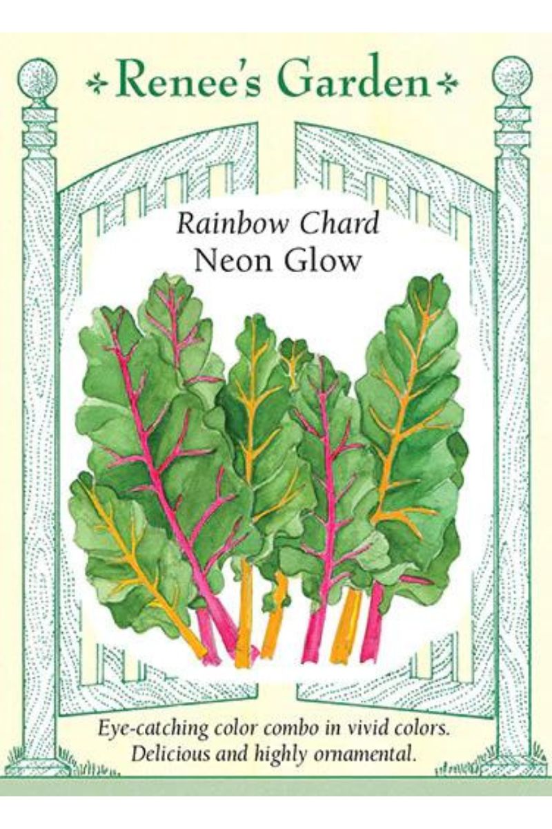 Renee's Garden Rainbow Chard Neon Glow Seeds