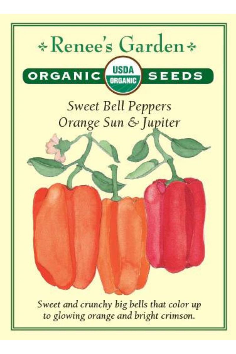 Renee's Garden Sweet Bell Peppers Orange Sun & Jupiter Organic Seeds